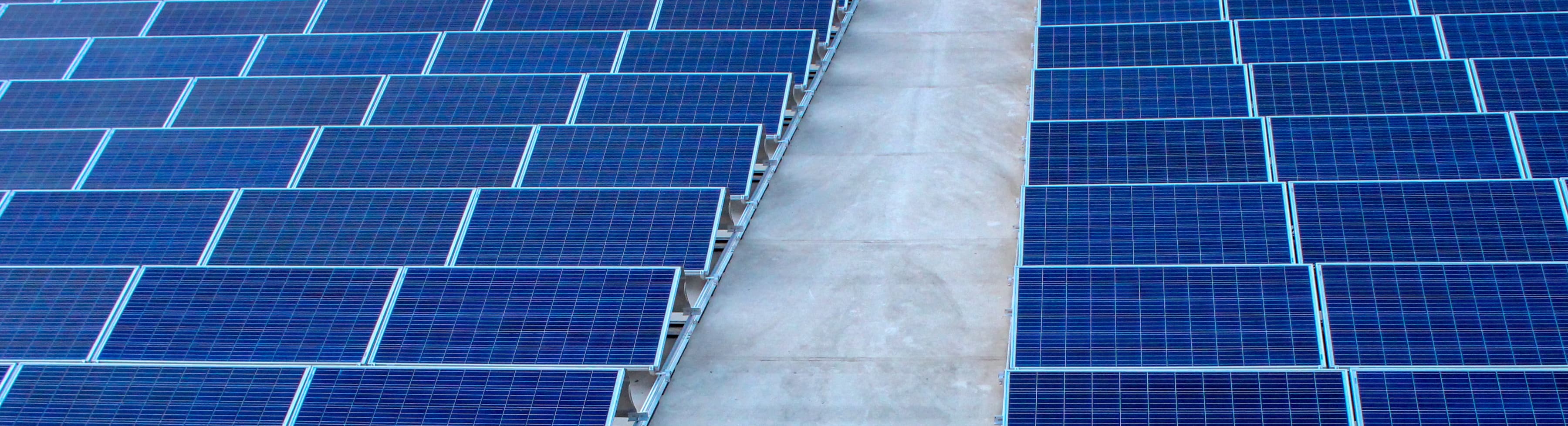Rows of blue solar panels are arranged in parallel on a flat surface.